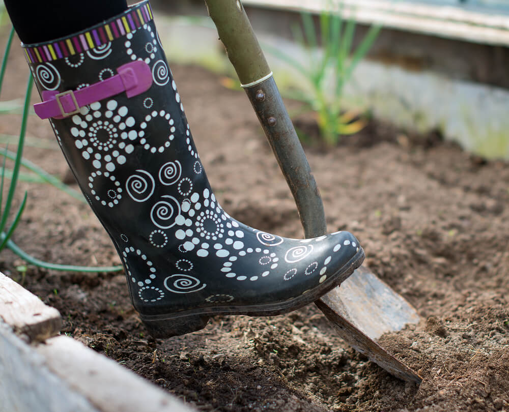 Woman's leg digging soil in greenhouse